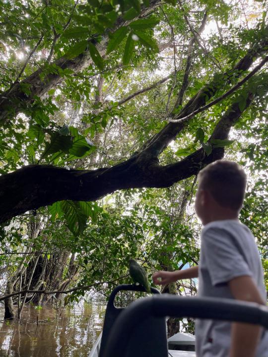 Criança tendo conexão com a natureza, floresta e papagaio!