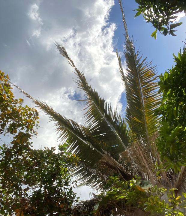 A beleza da paisagem enche meu coração de gratidão.
