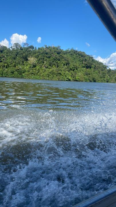 Os olhos veem, o coração sente, a alma se conecta.