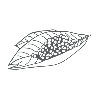 Sementes